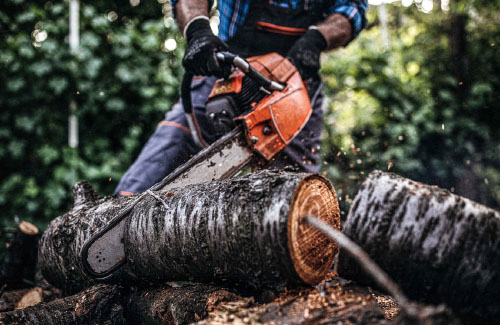 Person using a chainsaw to saw logs