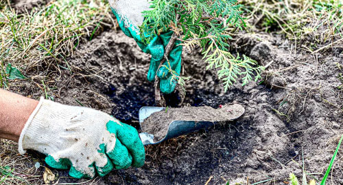 Person digging in dirt with gardening gloves